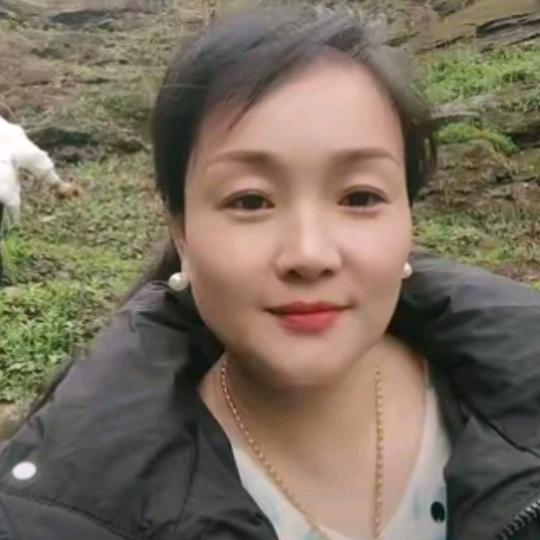 李容《莲藕种植》