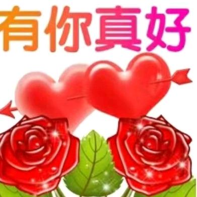 捂不化的❄️
