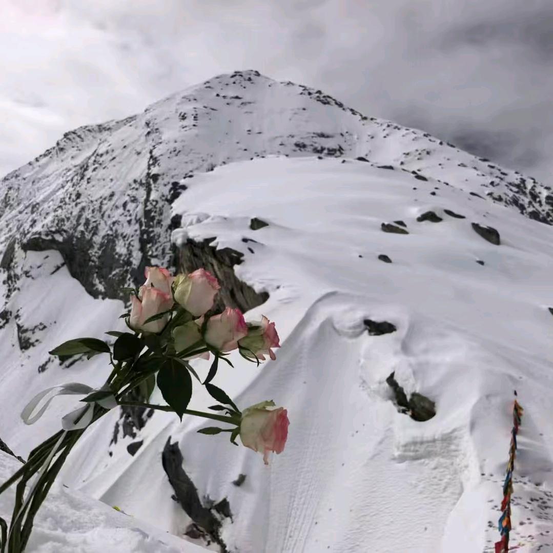 幸福归来(๑•̀ㅂ•́)ﾉ➹♡