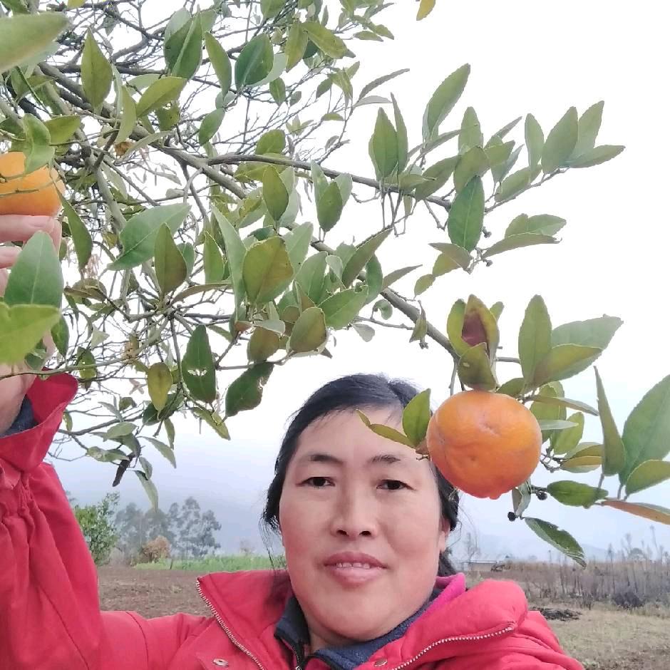 冉以美