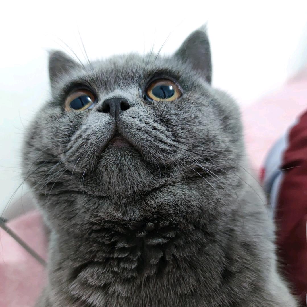 🎀重启დ
