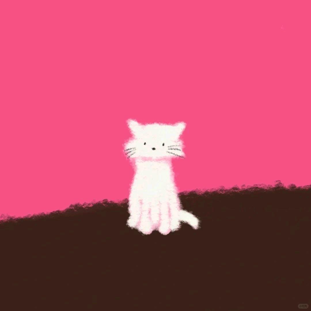 小宝大人登场OvO