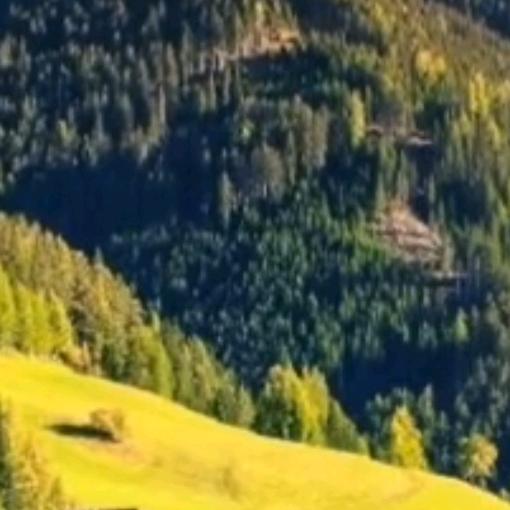 🌺余💐生🪷随🌨心❤🌲