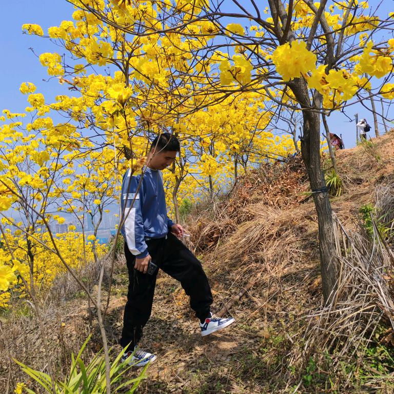 森林小哥