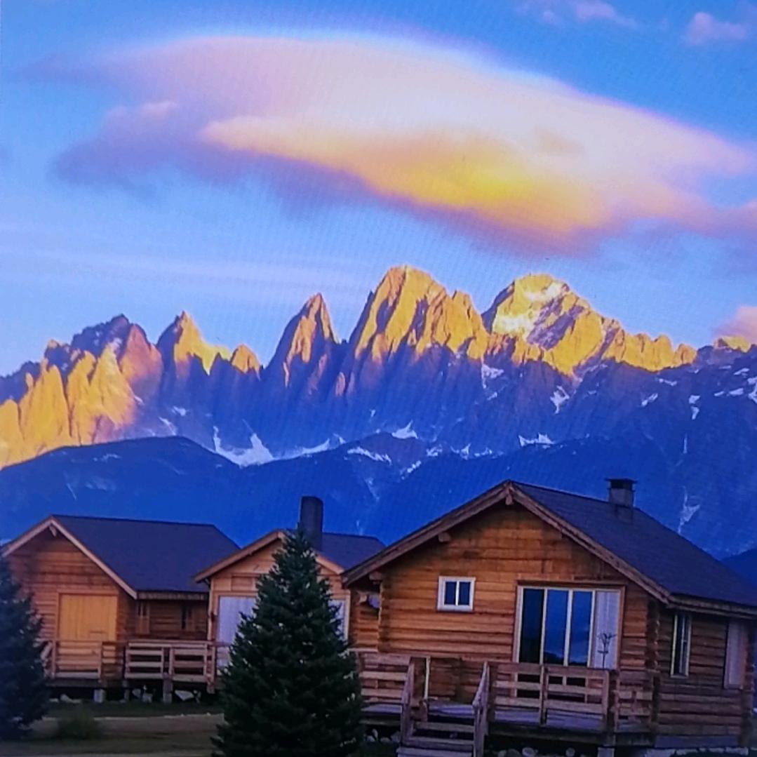 A～D（啵啵陪你长大）