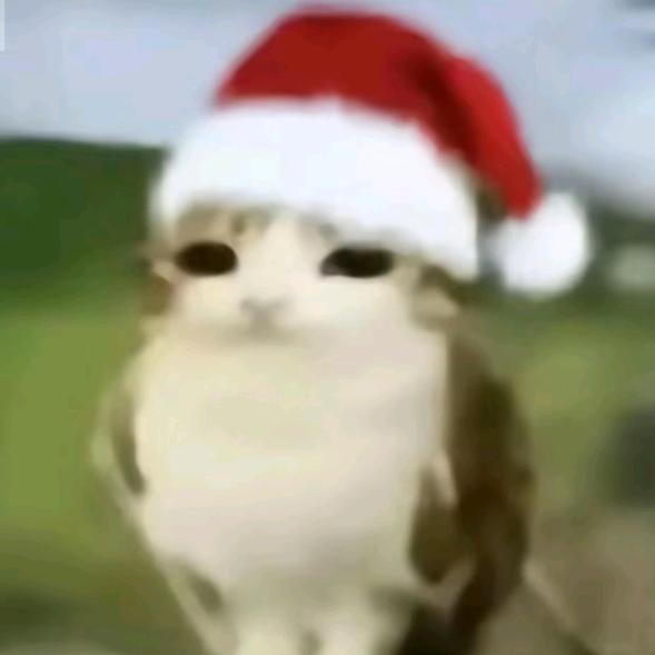 小饱(៸៸᳐⦁⩊⦁៸៸᳐ )੭