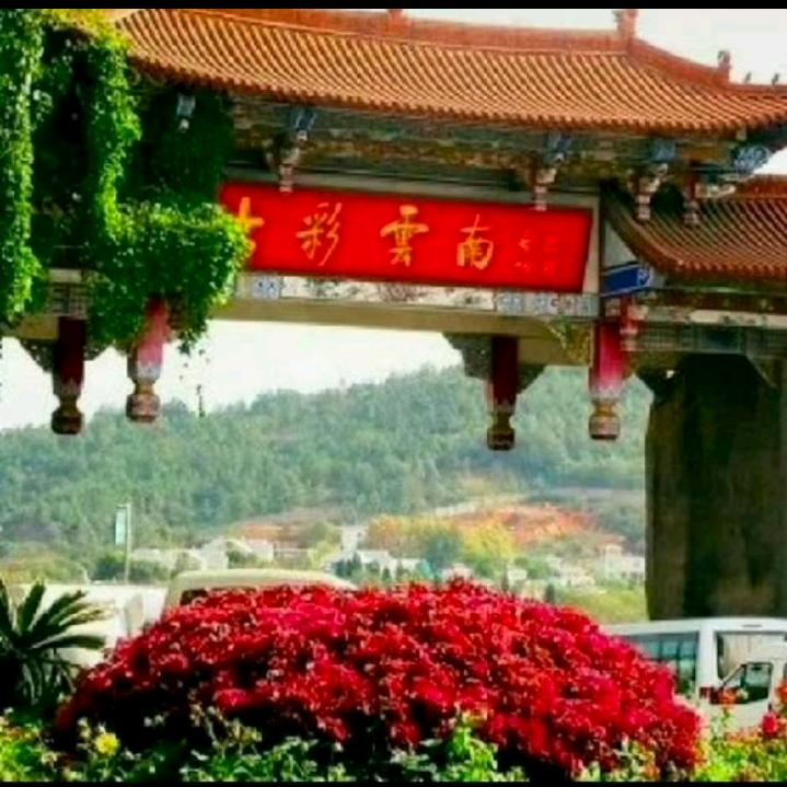 爱得真就伤得深