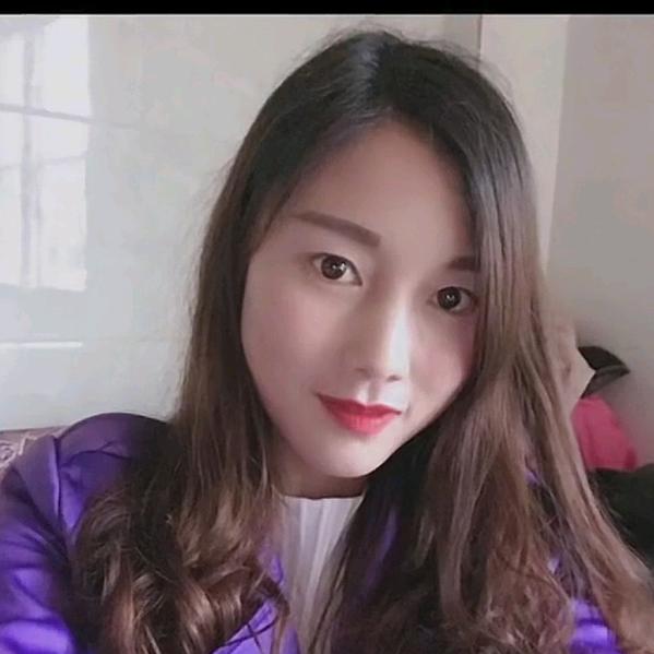 菊