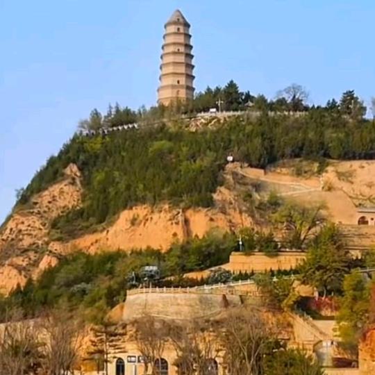 🎉欲盖弥彰🕊¹⁰²³