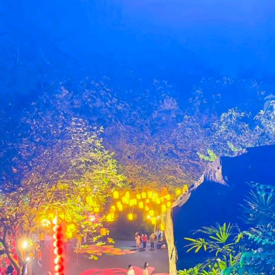 明天会更好