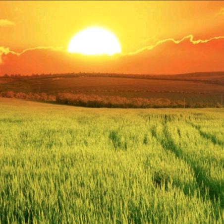 福报（拒绝私聊）