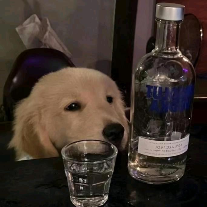 niu