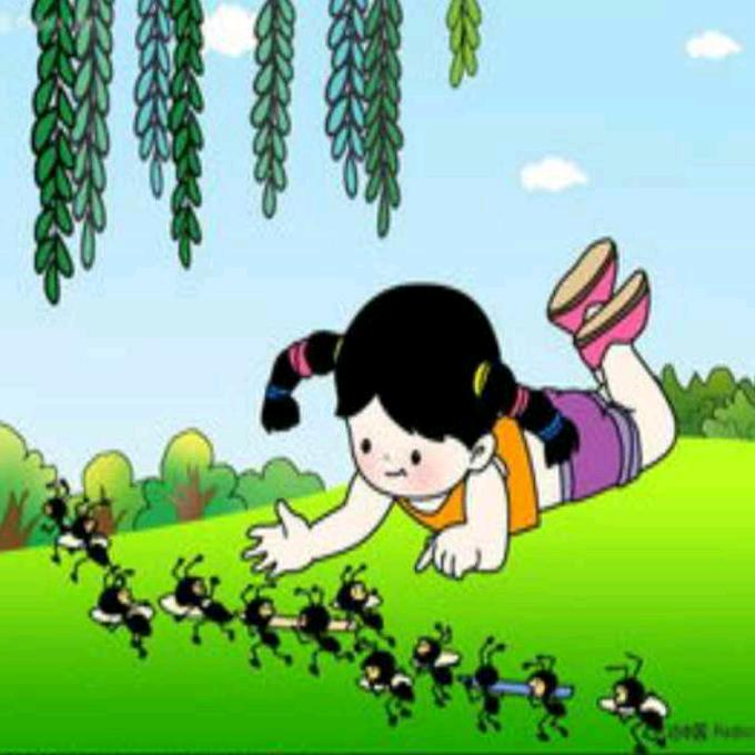 我爱小蚂蚁