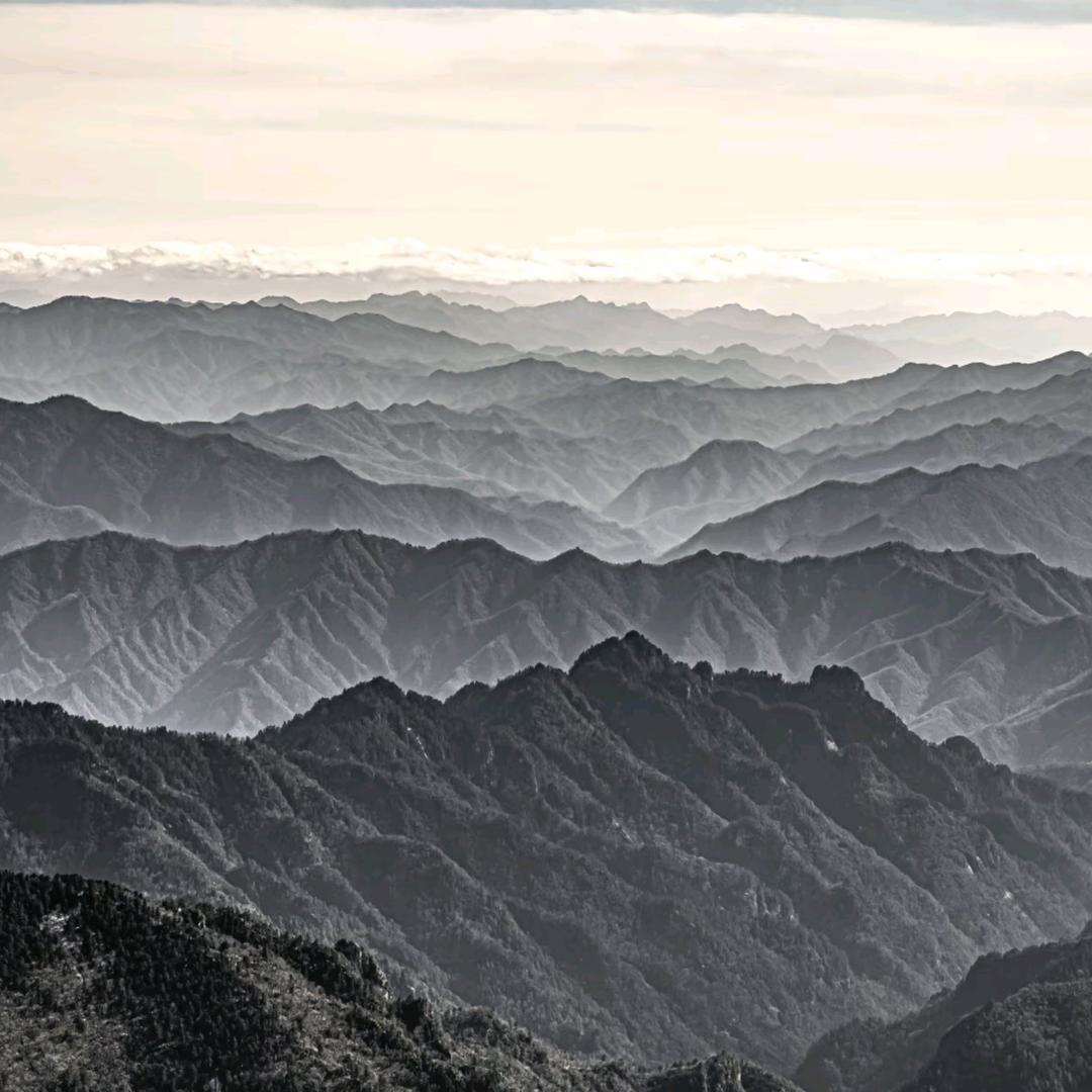 从来都不会唱歌