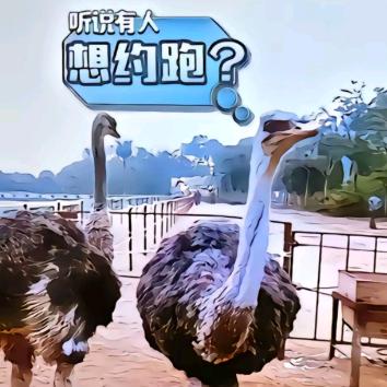 臭君