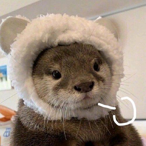 C'c