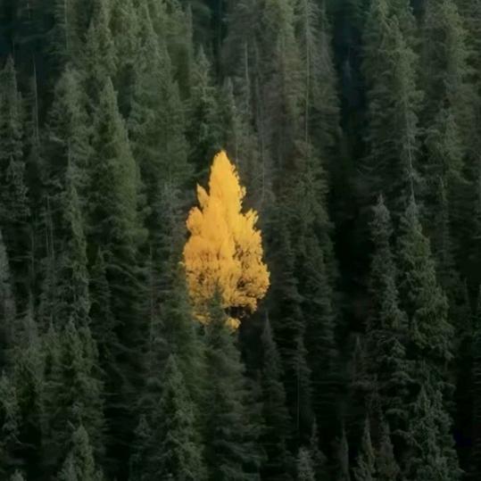 1688