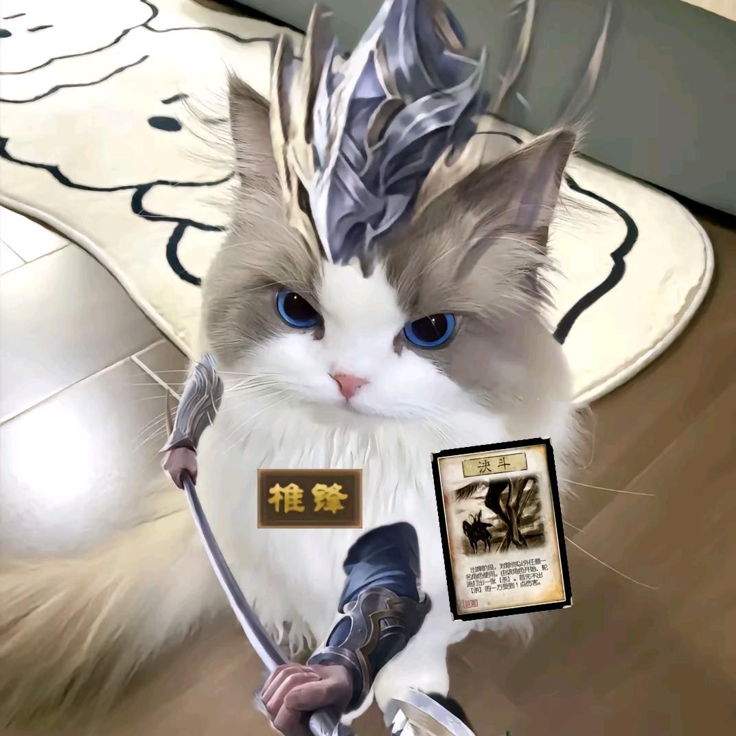 小毅玩三国