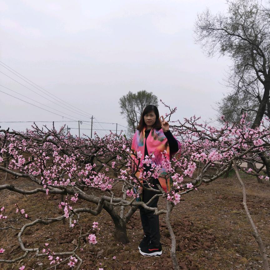 乡下姑娘。程👿👿