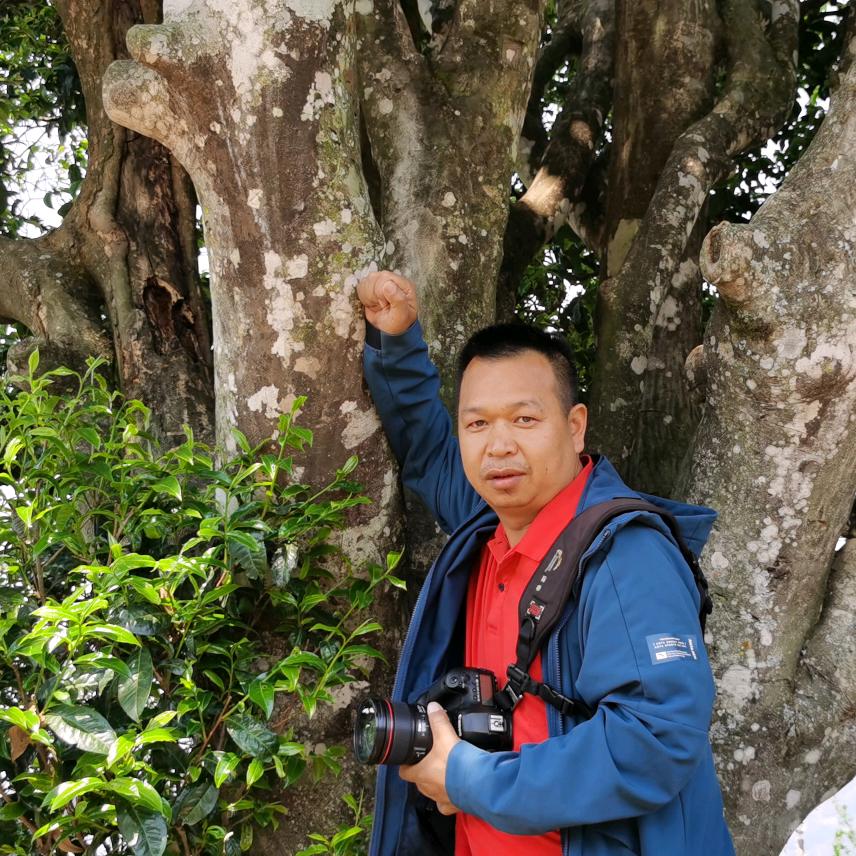 谭春《邦崴情》