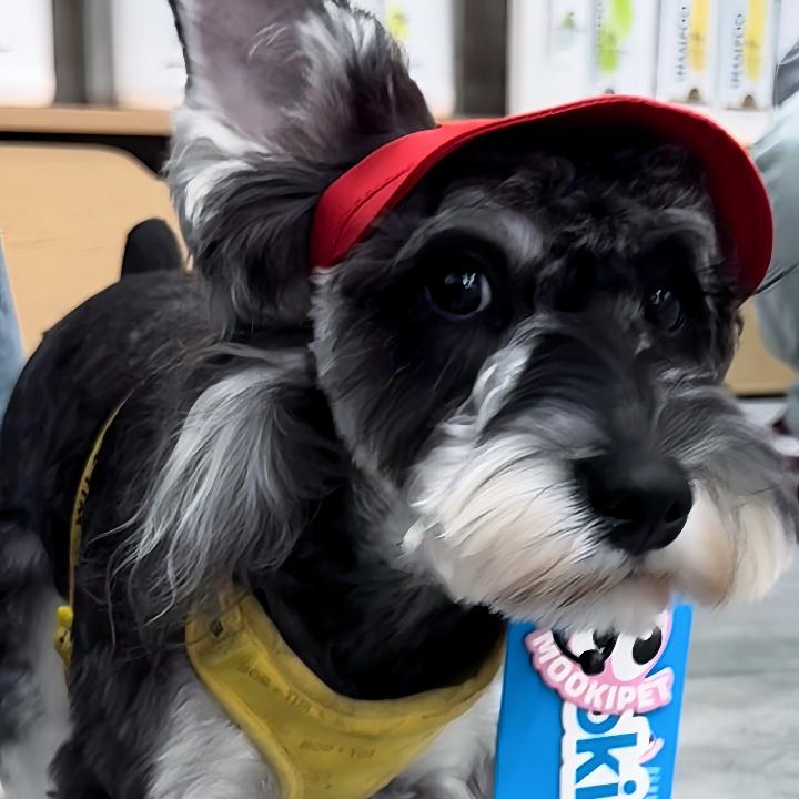 小李