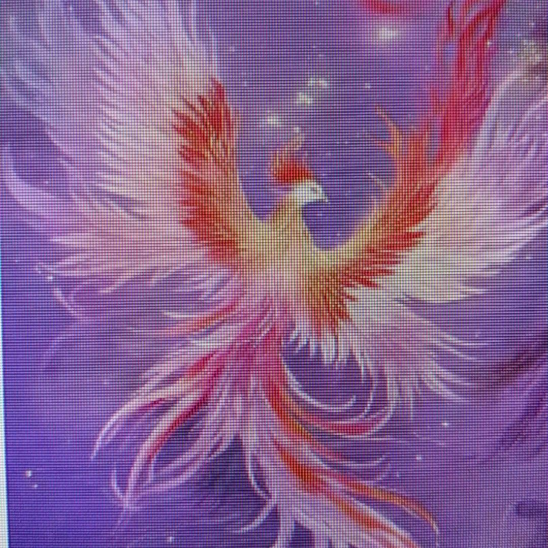 汇鑫恒峰343563号