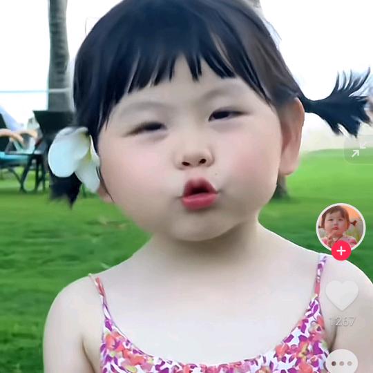 燕子