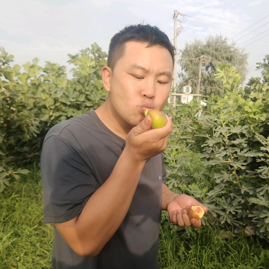 野蛮生长吴先生