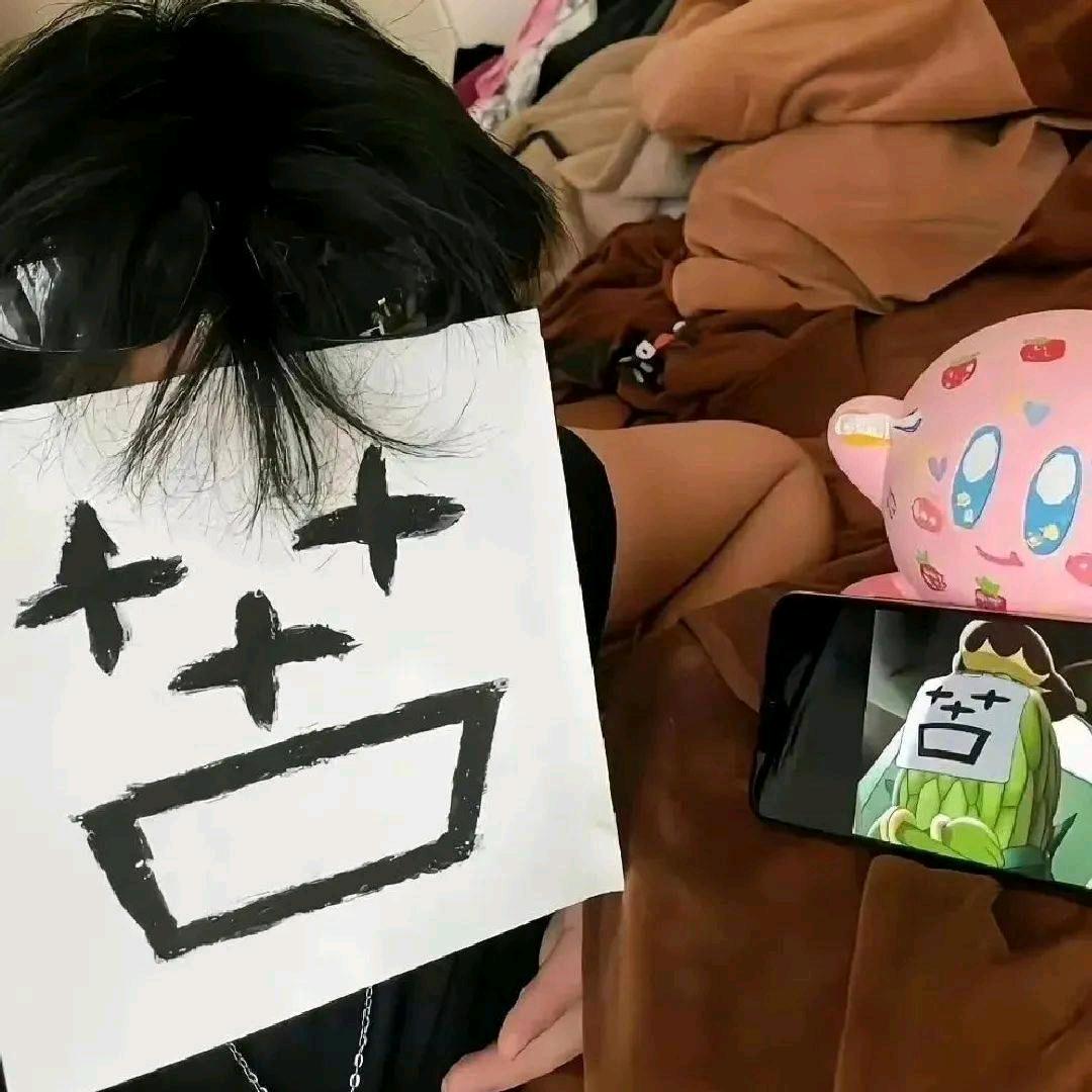 蒸的砖家.