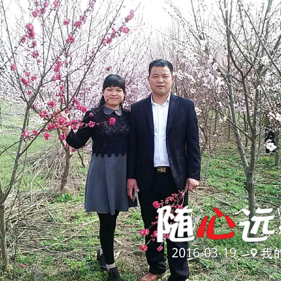 灰太狼