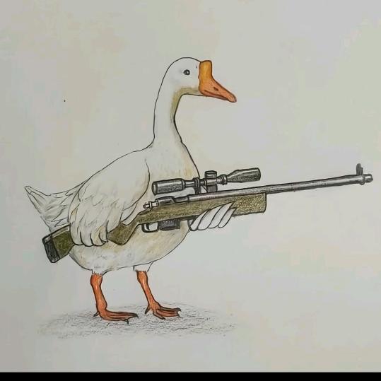 俺们村最后一只鹅