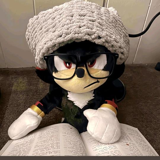 理论大师