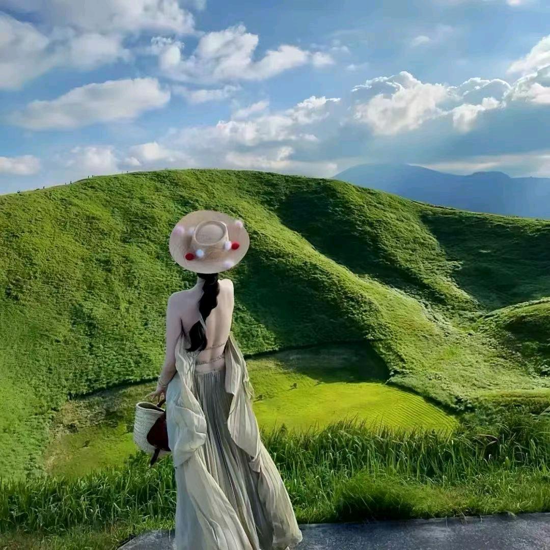 普罗旺斯的夏天