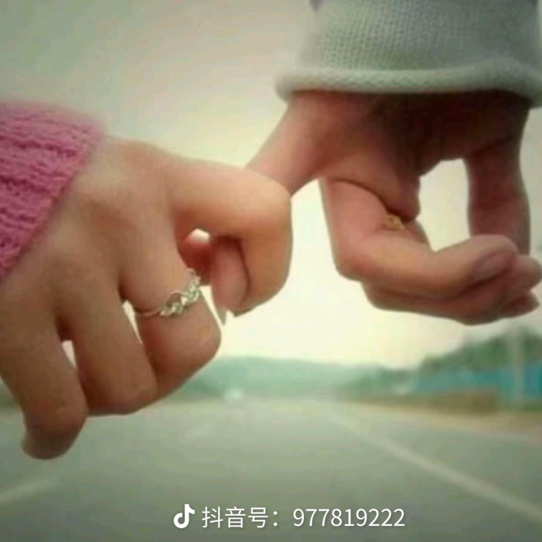 出身牛马 驾驾驾