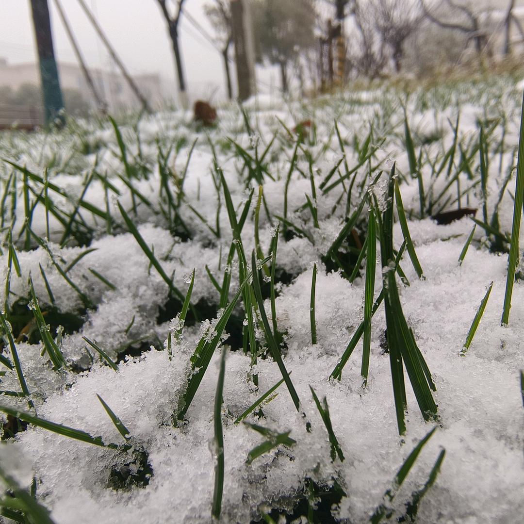 情逝心殇