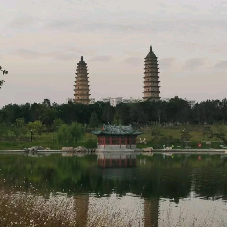 相亲相爱🌴🌴🌴