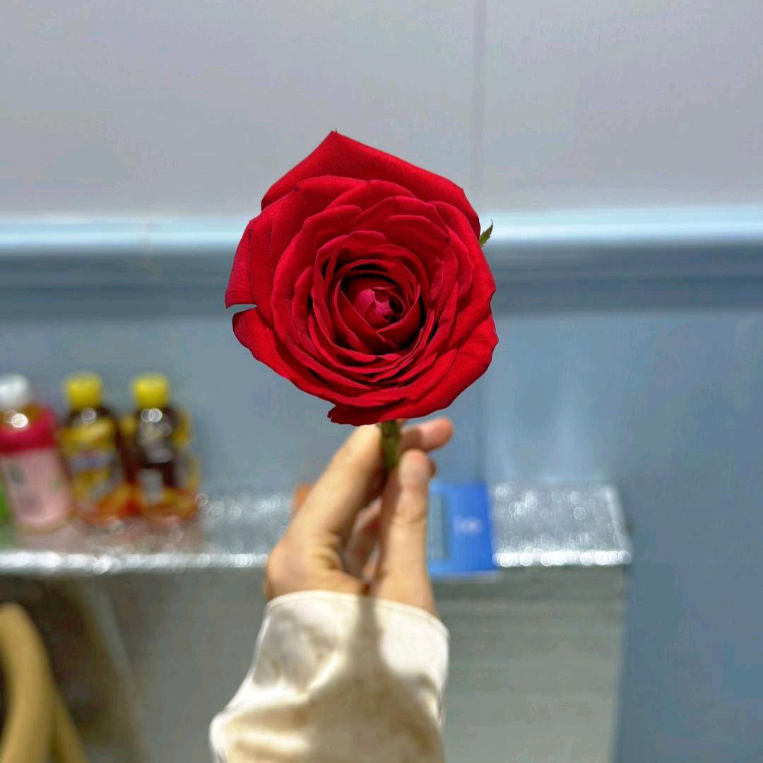 Nurbiya好物分享