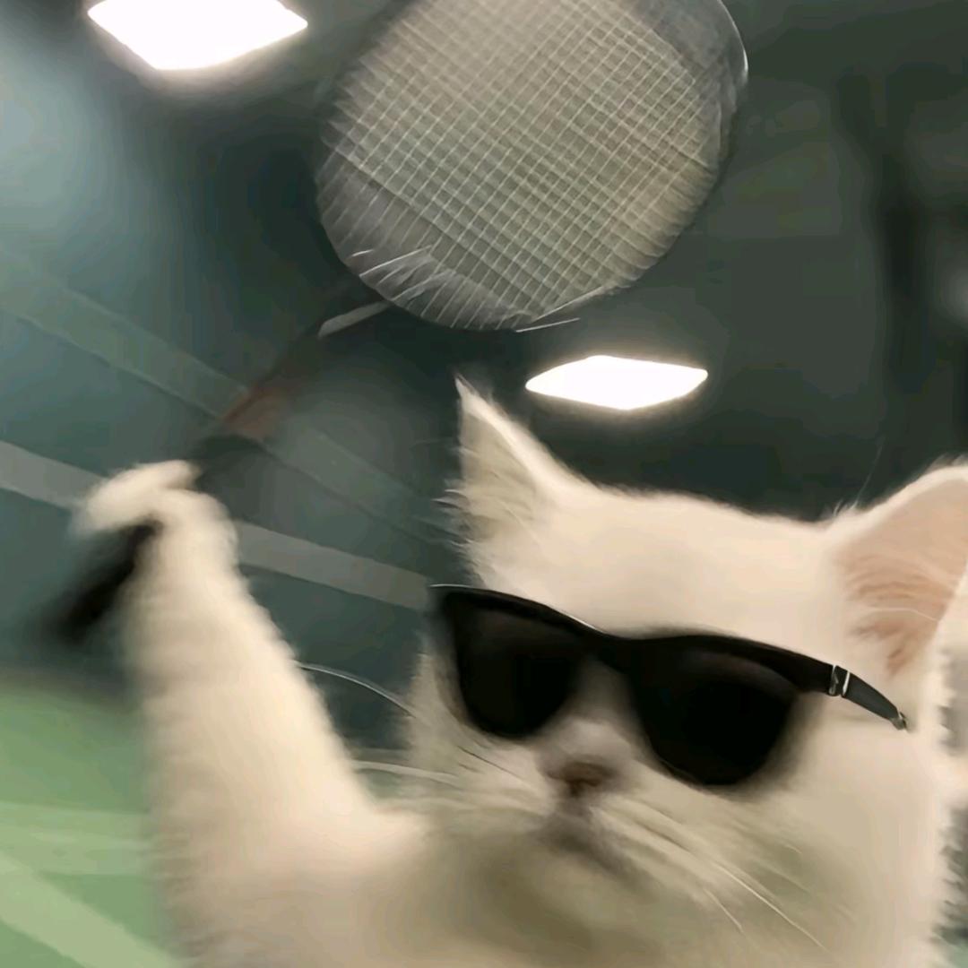 ♞小迷糊♛