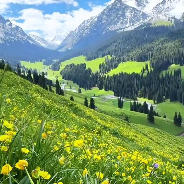 涪陵榨菜工厂直发