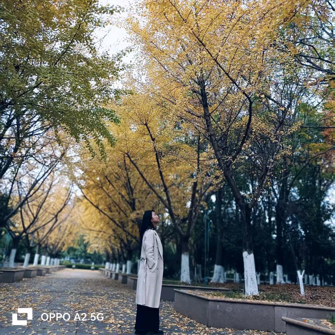 忆- ̗̀(๑ᵔ⌔ᵔ๑)