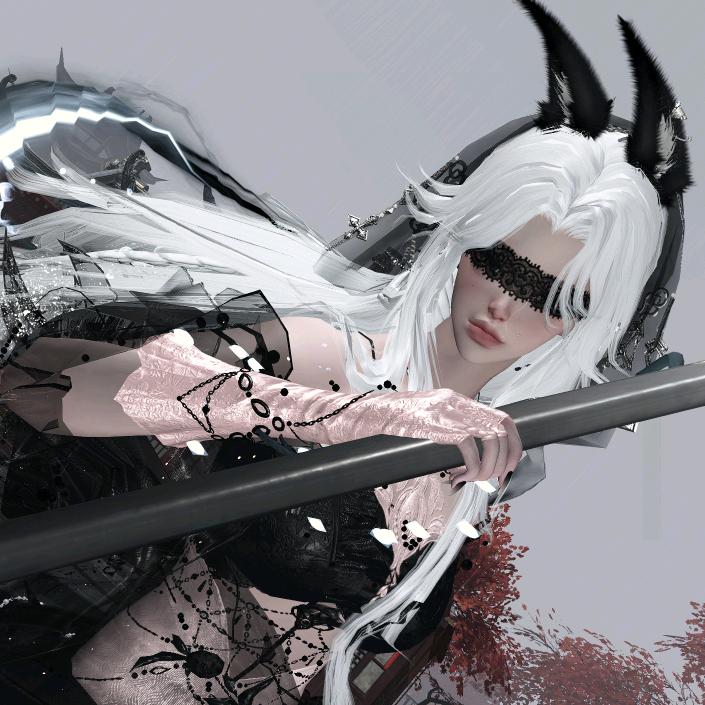 是棉椛不是棉花