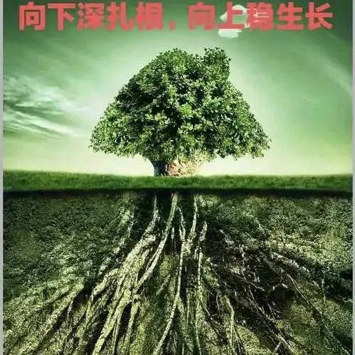 玄合之道，道法自然