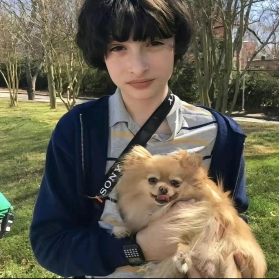 纸片堆૮₍°□°₎ა