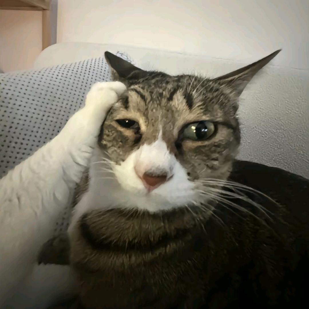 陈大王