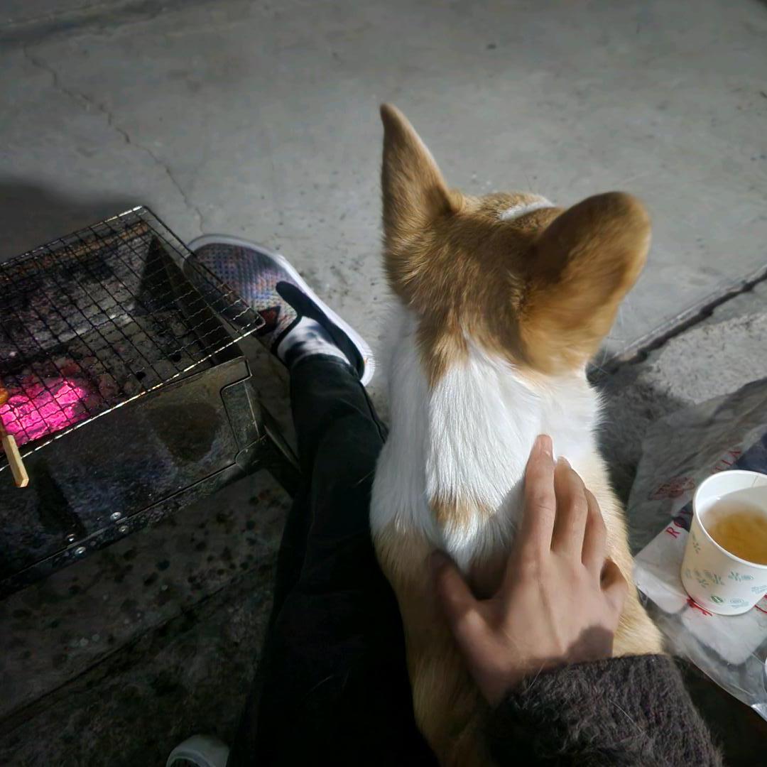 无敌饺子