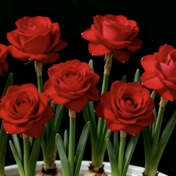 开开心心过好每一天