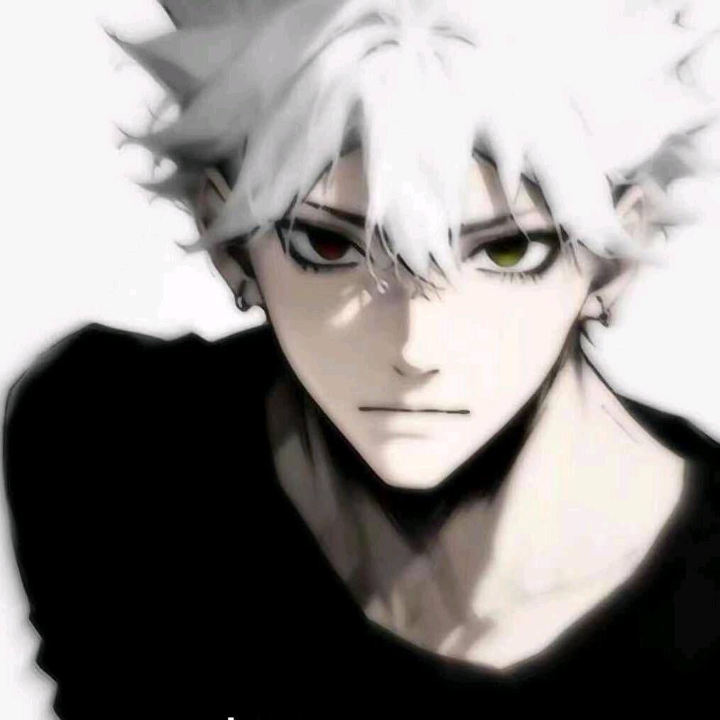 白鸽（羊毛情报战）