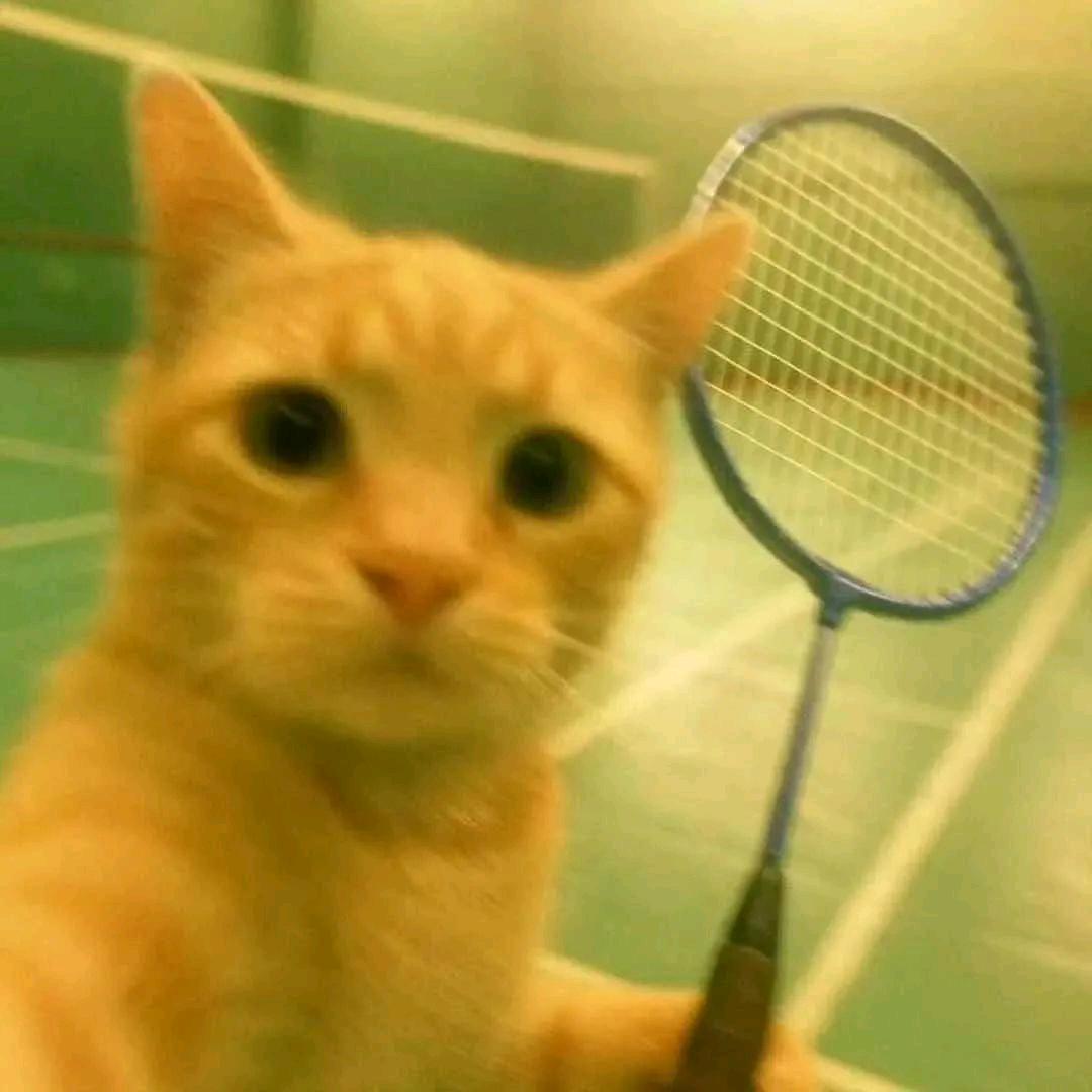 遗憾是常态🏸