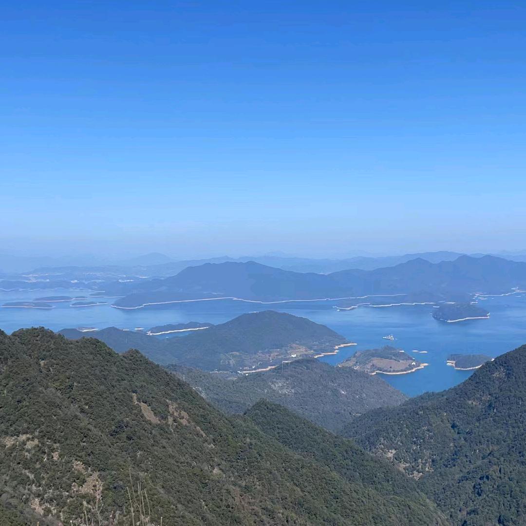 单身的彪哥