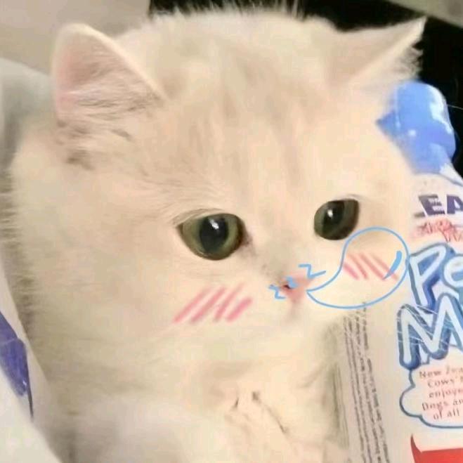 雾